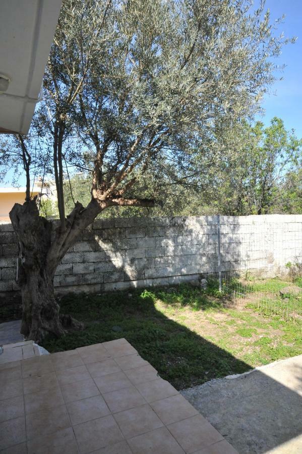 Nikitas Apartment Kos Town Exterior photo